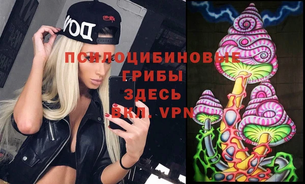 винт Лабытнанги