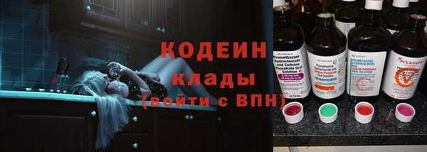дмт Краснослободск