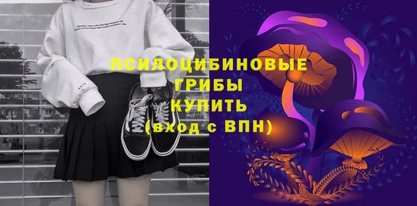винт Лабытнанги