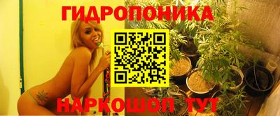 шишки Кулебаки