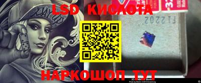 мяу мяу мука Гатчина