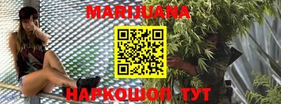 мяу мяу мука Гатчина