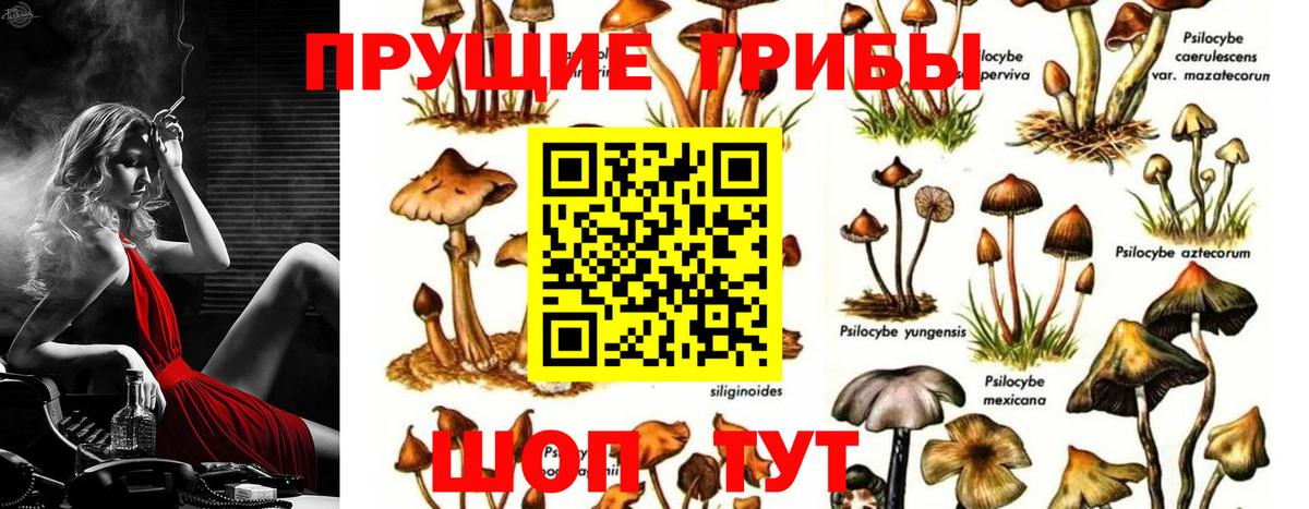 Галлюциногенные грибы Magic Shrooms Лабытнанги